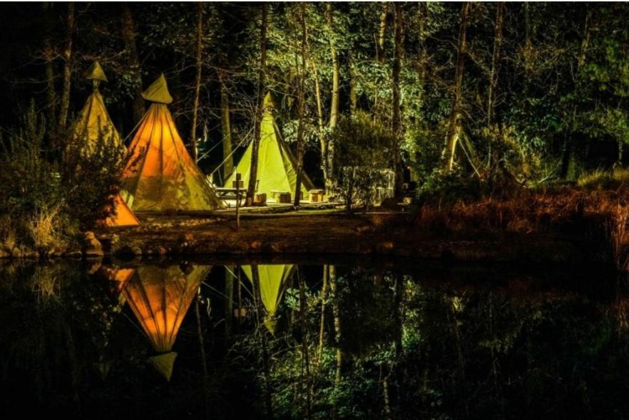 Hotel Nguni Moon Tepee Camp Underberg Zewnętrze zdjęcie