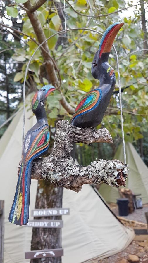 Hotel Nguni Moon Tepee Camp Underberg Zewnętrze zdjęcie
