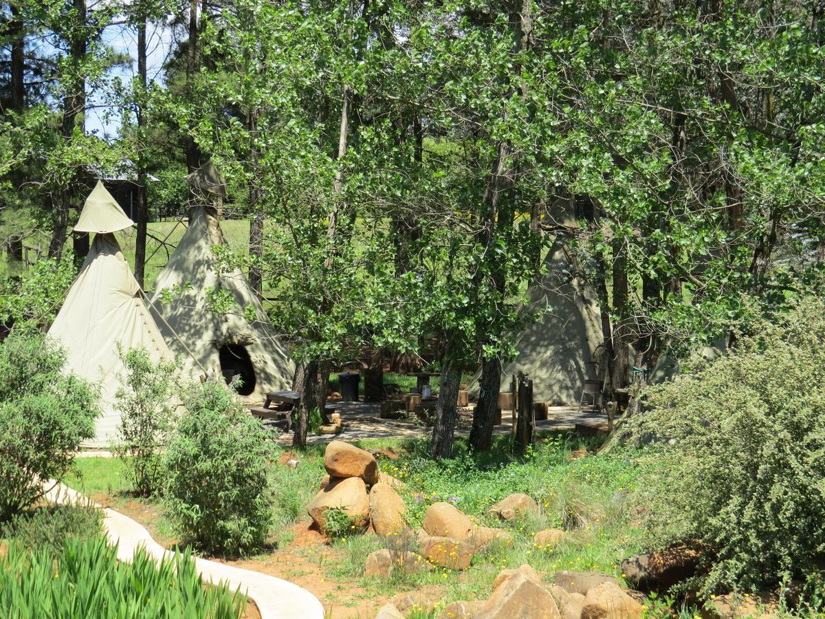 Hotel Nguni Moon Tepee Camp Underberg Zewnętrze zdjęcie