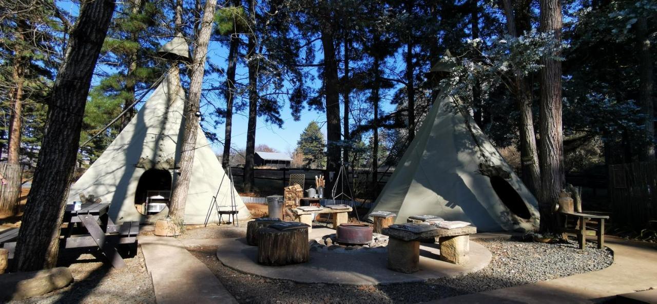Hotel Nguni Moon Tepee Camp Underberg Zewnętrze zdjęcie
